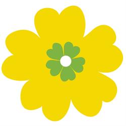 Primula hemtjänst och städservice AB, Slite öppettider