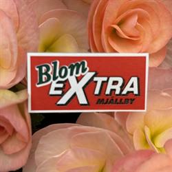 BlomEXTRA, Sölvesborg öppettider