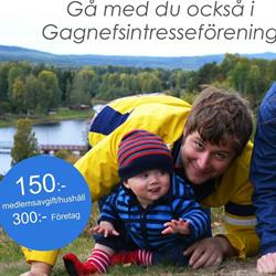 Gagnefs Intresseförening, öppettider