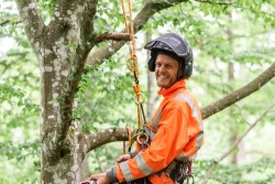 Stora Träd Arborist AB, Höör öppettider