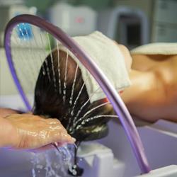 Queenna Spa Salong, Stockholm öppettider
