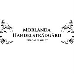 Morlanda handelsträdgård AB, Ellös öppettider