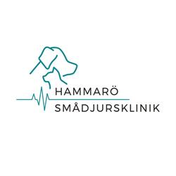 Hammarö smådjursklinik, öppettider
