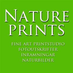 LJ Fotoateljé / Natureprints, Falköping öppettider