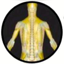 Osteopati & Kiromassagekliniken Stockholm, Hässelby öppettider