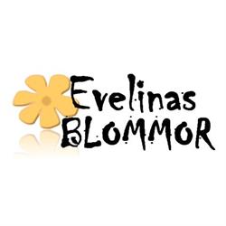 Evelinas Blommor, Ydre öppettider