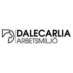 Dalecarlia Arbetsmiljö, Borlänge öppettider