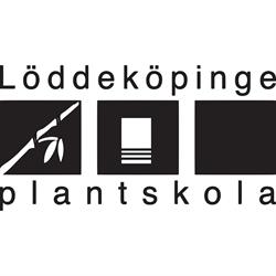 Löddeköpinge Plantskola AB, öppettider