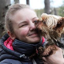 Majas Lilla Hundtrim, Sala öppettider