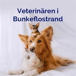 Veterinären i Bunkeflostrand / TS Vet AB, öppettider