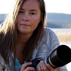 Wm Artphoto, Umeå öppettider