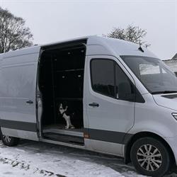 Hunddagisbussen, Falkenberg öppettider
