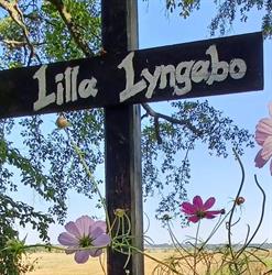 Sinne för smak / Lilla Lyngabo, Gullbrandstorp öppettider