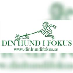 Din Hund i Fokus, Hässelby öppettider