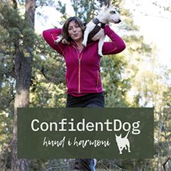 ConfidentDog - Värmland, Molkom öppettider