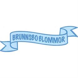 Brunnsbo Blommor, Hisings Backa öppettider