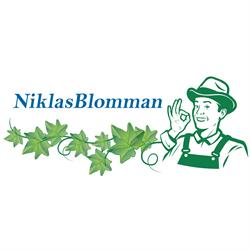 Blomsterhandel Motala - Niklasblomman AB, öppettider