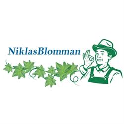 Blomsterhandel Motala - Niklasblomman AB, öppettider