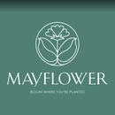 The Mayflower AB - Blomsterbutik I Stockholm, öppettider