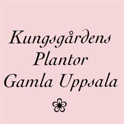 Kungsgårdens Plantor & Inredning, Uppsala öppettider