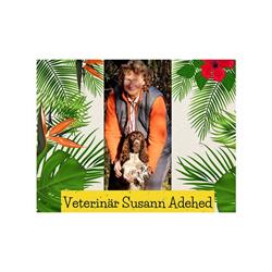 Veterinär Susann Adehed, Knivsta öppettider