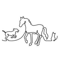 Luleå Veterinärstation, öppettider