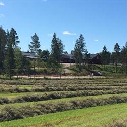 Fridhems Gård, Brottby öppettider