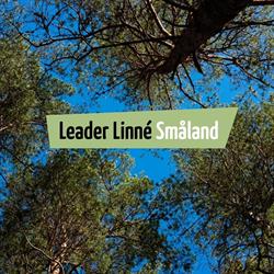 LEADER LINNÉ SMÅLAND, Alvesta öppettider