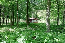 Ormanäs Stugby, Höör öppettider
