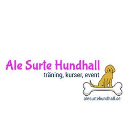 Ale Surte Hundhall, öppettider