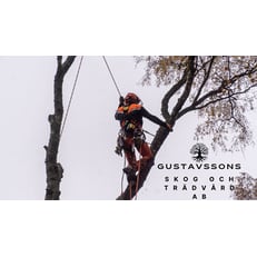 Gustavssons Skog & Trädvård AB, Åryd öppettider