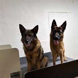 Carinas Klo & Klös AB, Sunne öppettider