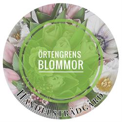 Örtengren Handelsträdgård, Tranås öppettider