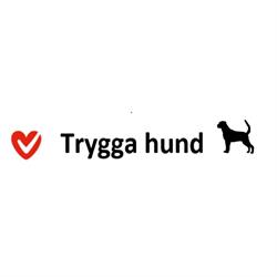 Trygga Hund i Stockholm AB - Hunddagis Kista och Järvastaden Solna Sundbyberg Sollentuna, öppettider