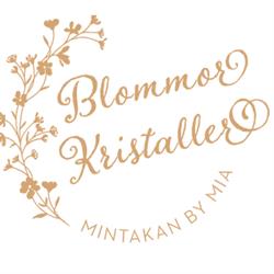 Mintakan AB, Simrishamn öppettider