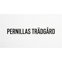 Pernillas Trädgård, Skärhamn öppettider