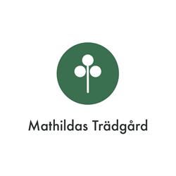 Mathildas Trädgård AB, Havdhem öppettider