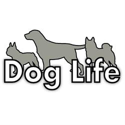 Dog Life Hundcenter, Mölndal öppettider