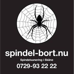 Spindel Bort Nu - Spindelsanering, Höllviken öppettider